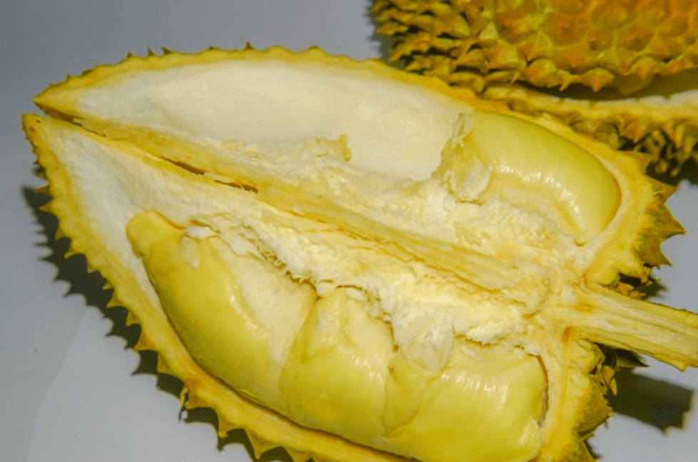 【榴莲自提丨4店通用】134元抢门市价178元越南金腰榴莲5斤,限量发售