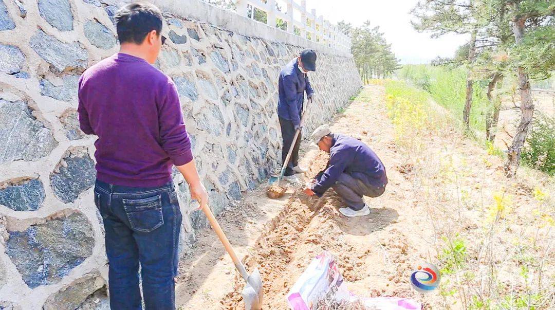 【建设和美乡村】白山乡:打造景致乡村为群众幸福生活"加码"_整治