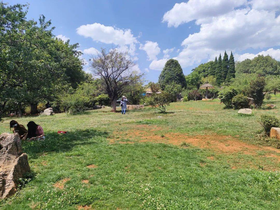 昆明试点开放共享37个公园(广场)41片绿地_区域_面积_湿地