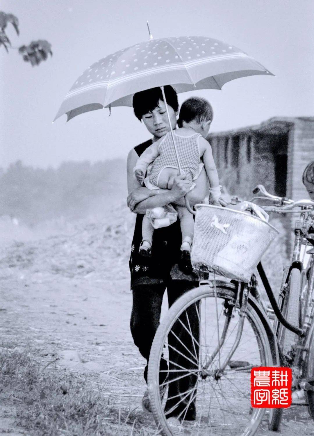 致敬老照片!30年前收麦影像记~_韩都_镰刀_小麦