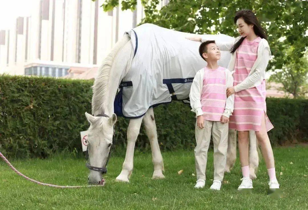 儿童节合影|身骑白马,做童话中的小王子&公主_马术_马匹_联赛