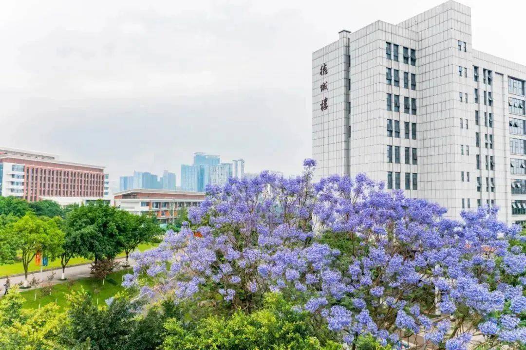 权威发布 | 西南医科大学2023年全日制普通本科招生章程_工作_考生