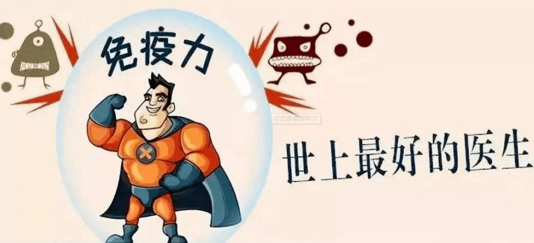 我们的免疫系统是个非常庞大的组织,有我们体内的免疫器官:扁桃体