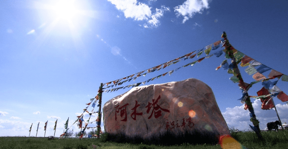 【有点不一样】阿木塔蒙古风情岛 克里台湿地2日游 赛马 竹排 射箭 献
