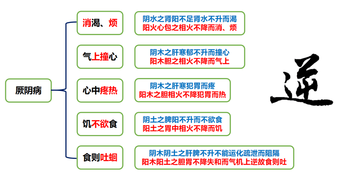 吴文笛:经典名方乌梅丸的临证思考与运用 | 云传承_升降_临床_心包