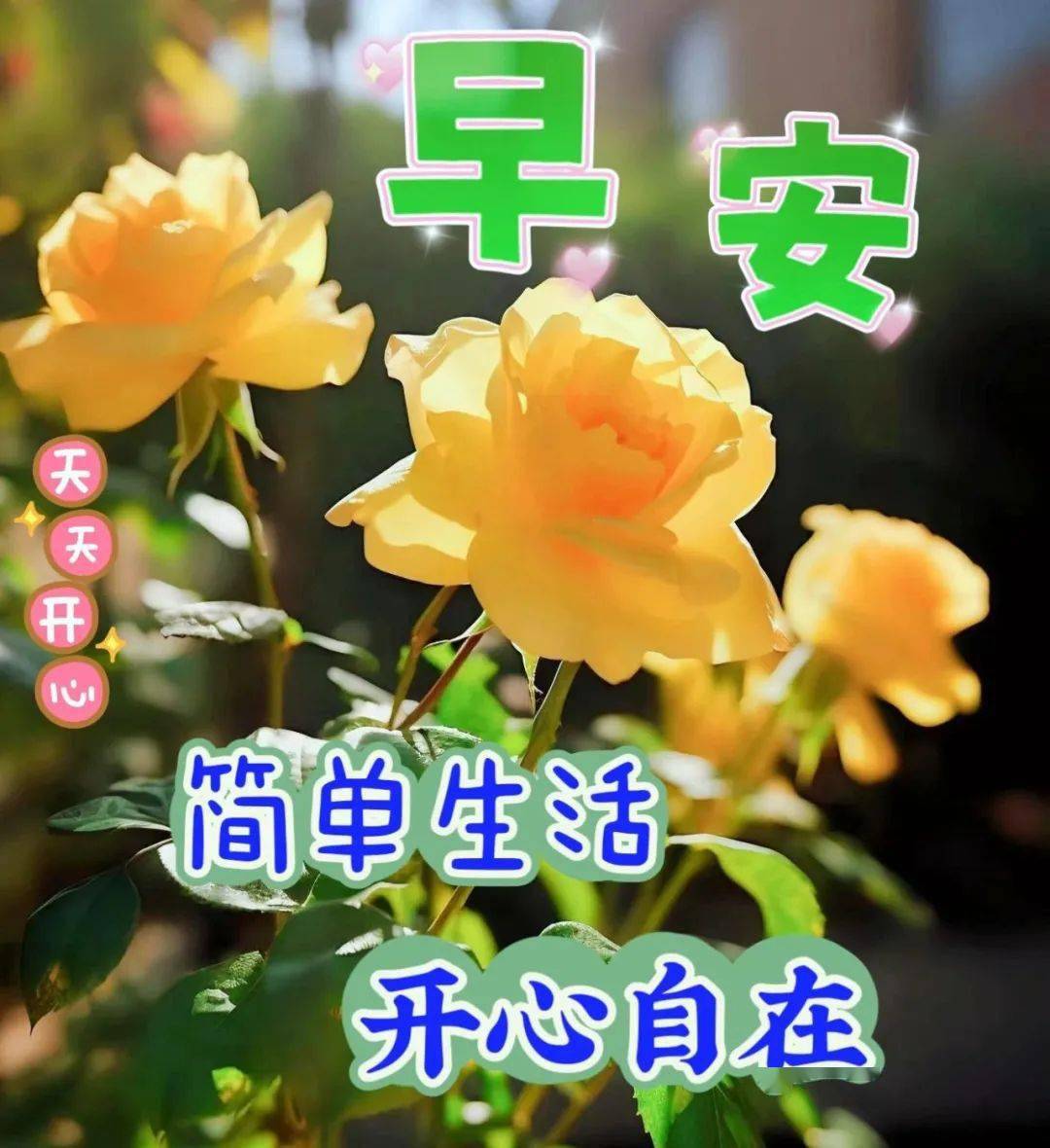 今日最新早上好表情包图片大全,新的一天,吉祥平安!_人生_朋友_包含了