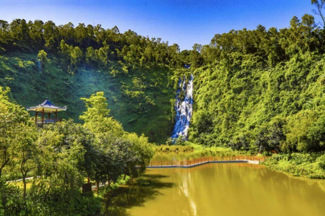 水濂山森林公园今年,水濂山石场生态修复工程将提升为南城街道绿美