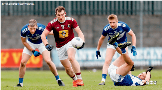 踢盖尔式足球的孩子们_运动_潘努奇_希恩