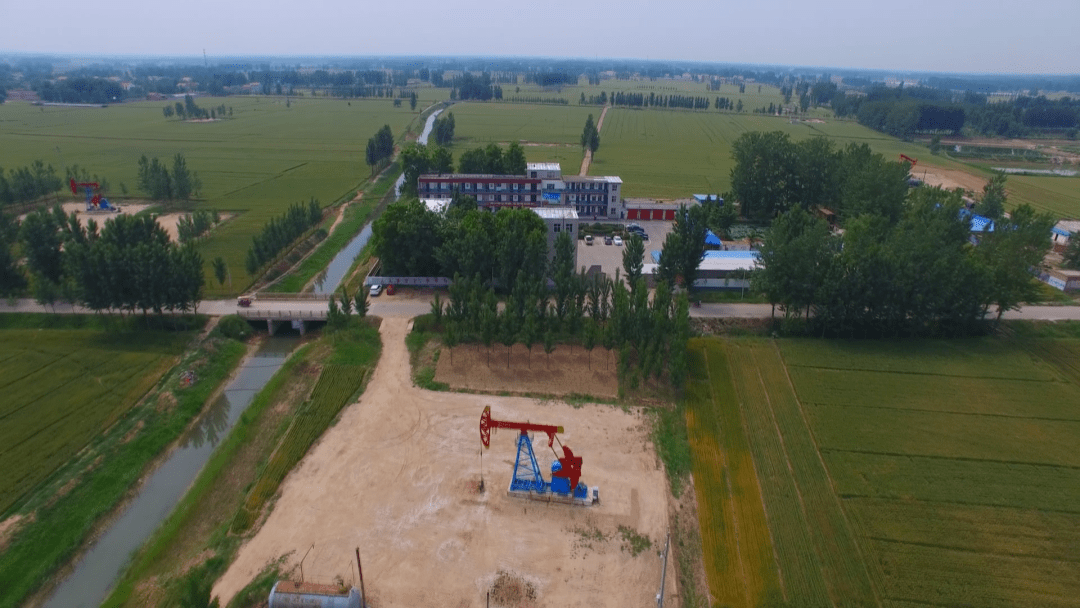 新时代 新征程 新伟业|中原油田:践行绿色发展理念 推动高质量发展_濮