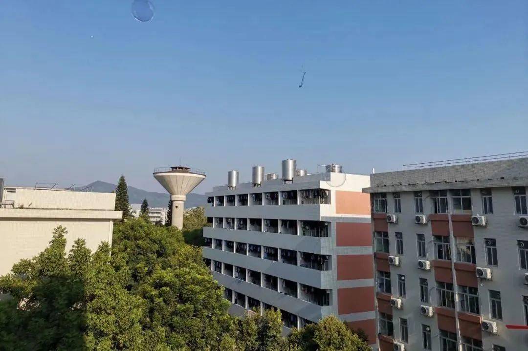 专科【公办】97学校地区:广州市天河区(龙洞校区),广州市白云区