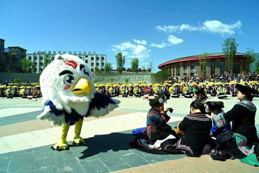 越西县普雄镇开展"火洛杯"彝族达体舞比赛_禁毒_视频_民族