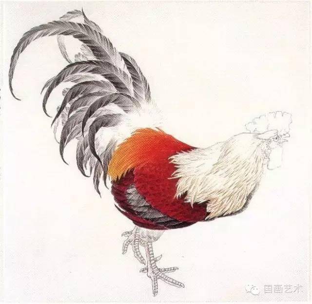 基础教程:工笔画动物系列—鸡的画法_限制_桔红色_公鸡