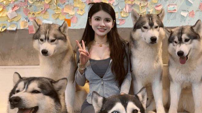 狗头萝莉卖煎饼被当面辱骂,什么原因让她成为众矢之的?