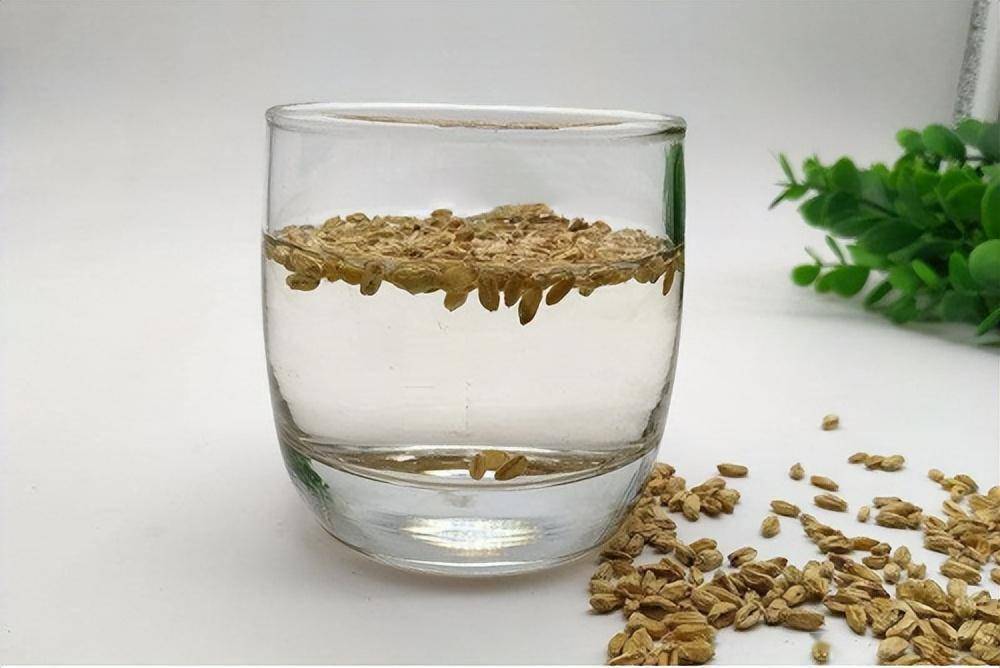 你知道吗,浮于水面的小麦也是一味中药_王怀隐_功效_治疗