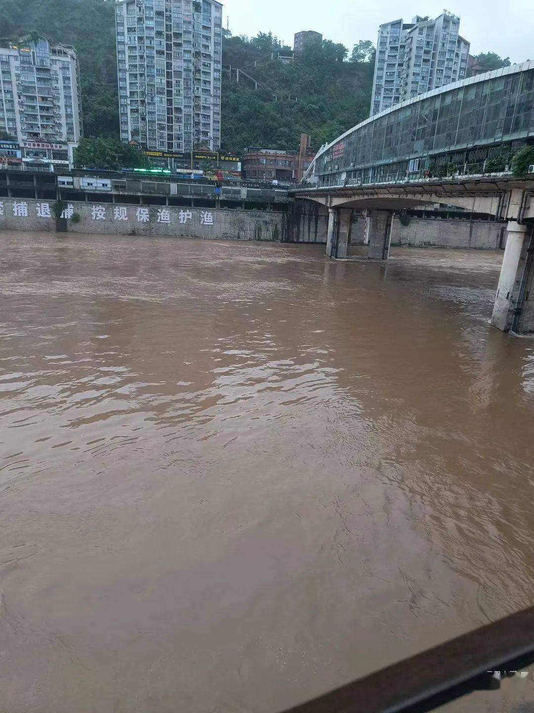 昨天晚上达州噼里啪啦又下了一晚上的大雨一觉醒来果不其然州河涨水了