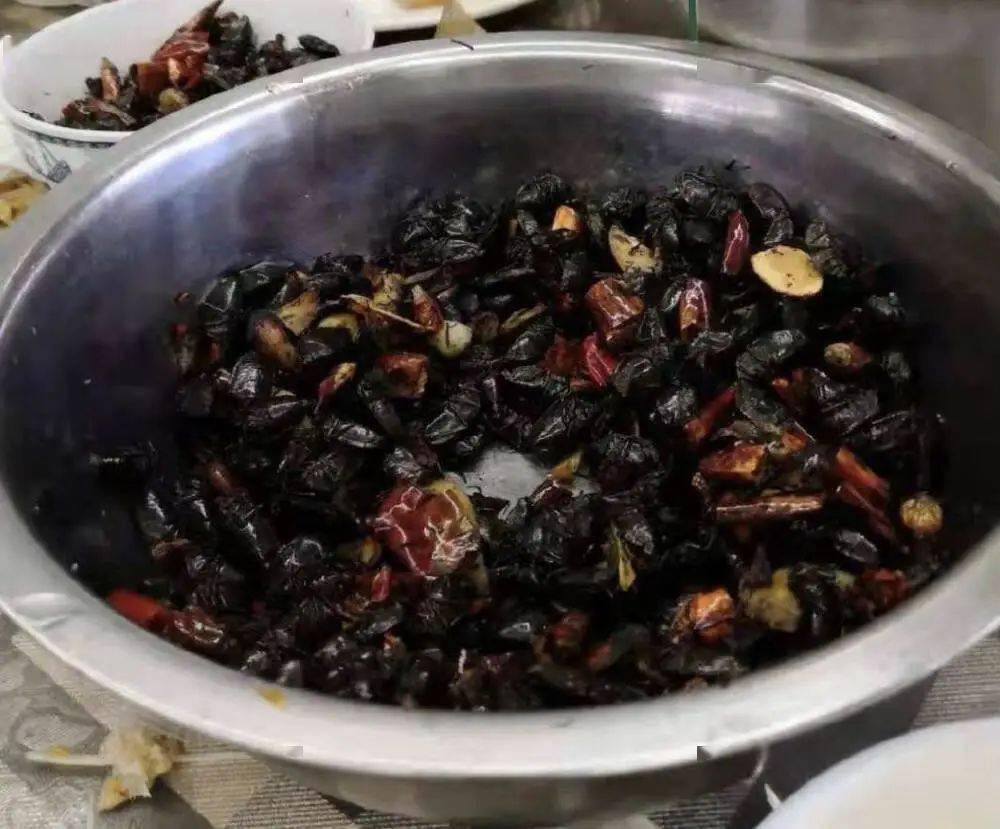 吃过一次九香虫,见了阎王也不怂_朋友_地方_都会