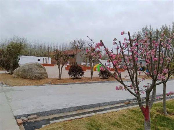 东营市广饶县稻庄镇:提升城乡"颜值" 擦亮"幸福底色"_生活_文化广场