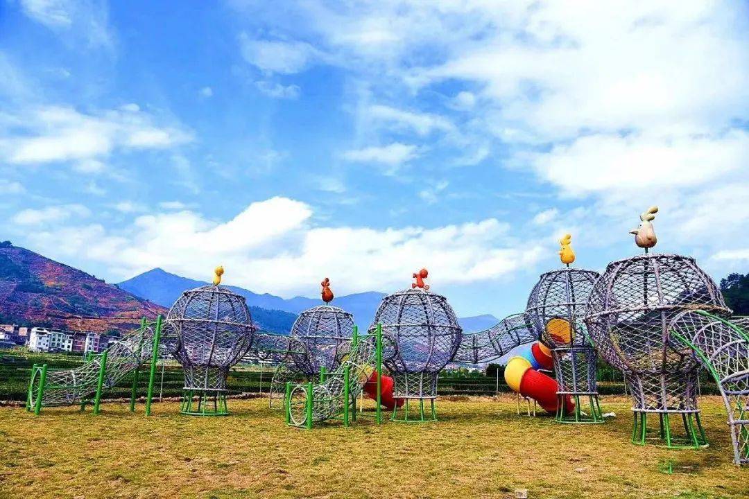 童心未泯·招坑秋千谷图 七彩官畲华安县官畲景区让孩子在这片山野间