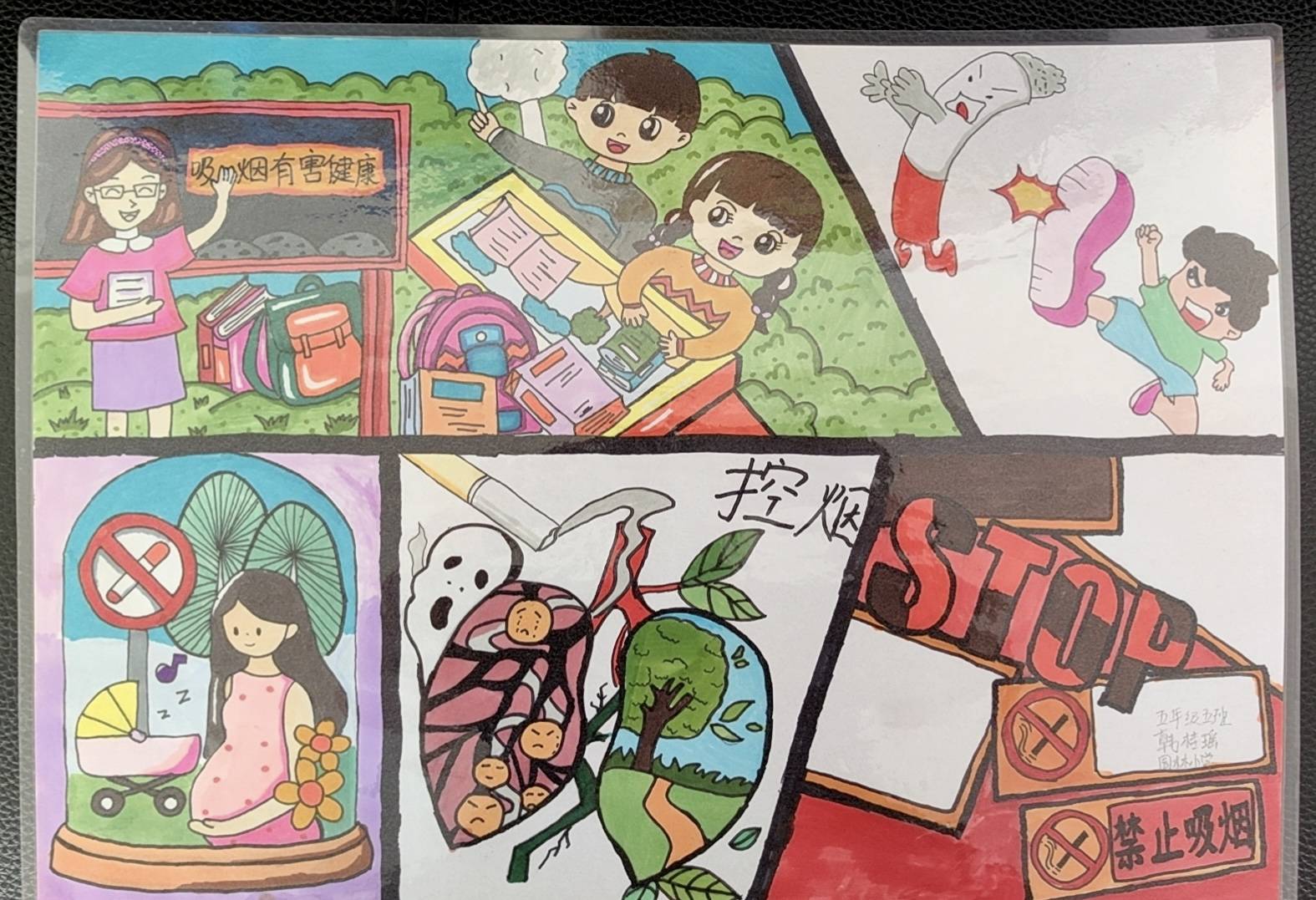 世界无烟日:共建无烟环境 守护生命健康_危害_西宁_烟草