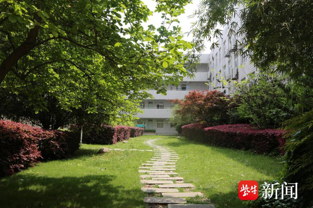 【奋跃而上】南京市第二十九中学: 唤醒创造潜质:要有对真相的渴求,而