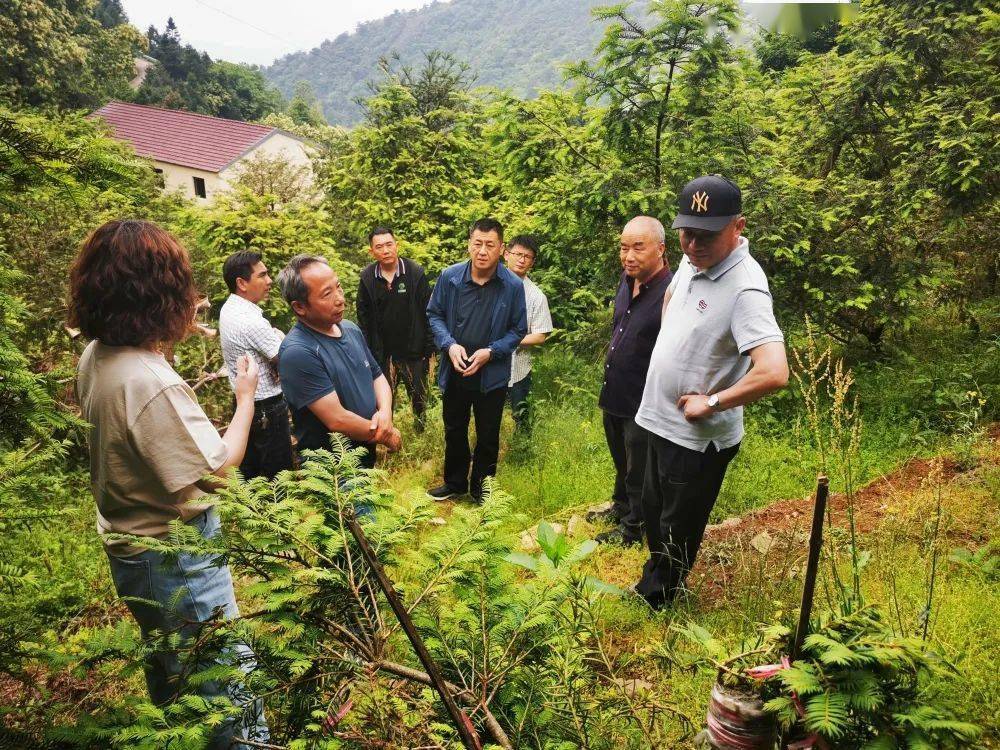 參觀考察拓思路 交流學習促提升——長樂林場赴黃岩大