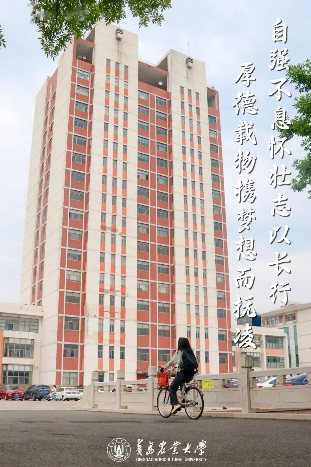 登于群峰之上更觉长风浩荡于高山之巅方见大河奔涌你们最终得以奋起