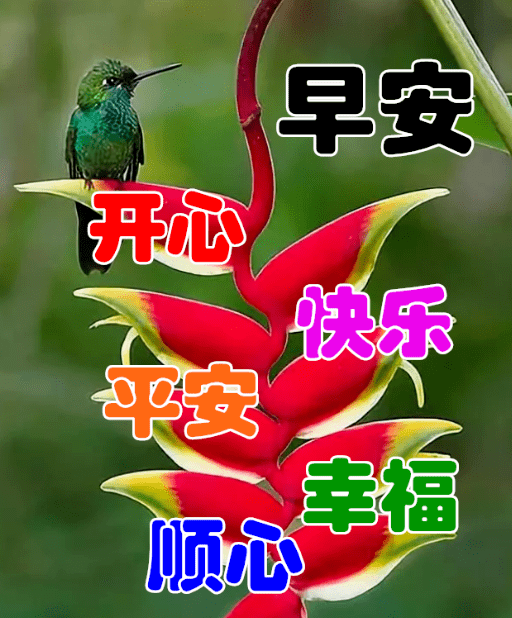 今日最新早上好表情图片大全,愿你幸福美好,平安快乐_问候_时间_时候