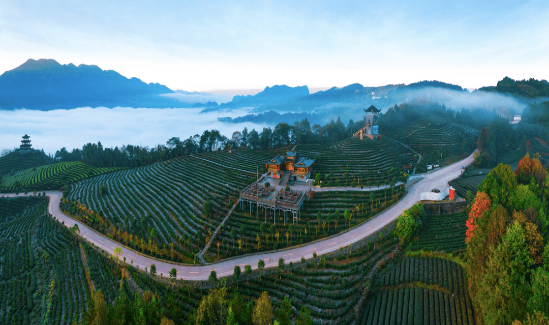 《湖北日报》头版报道了恩施市这个村_整治_排污口_生态