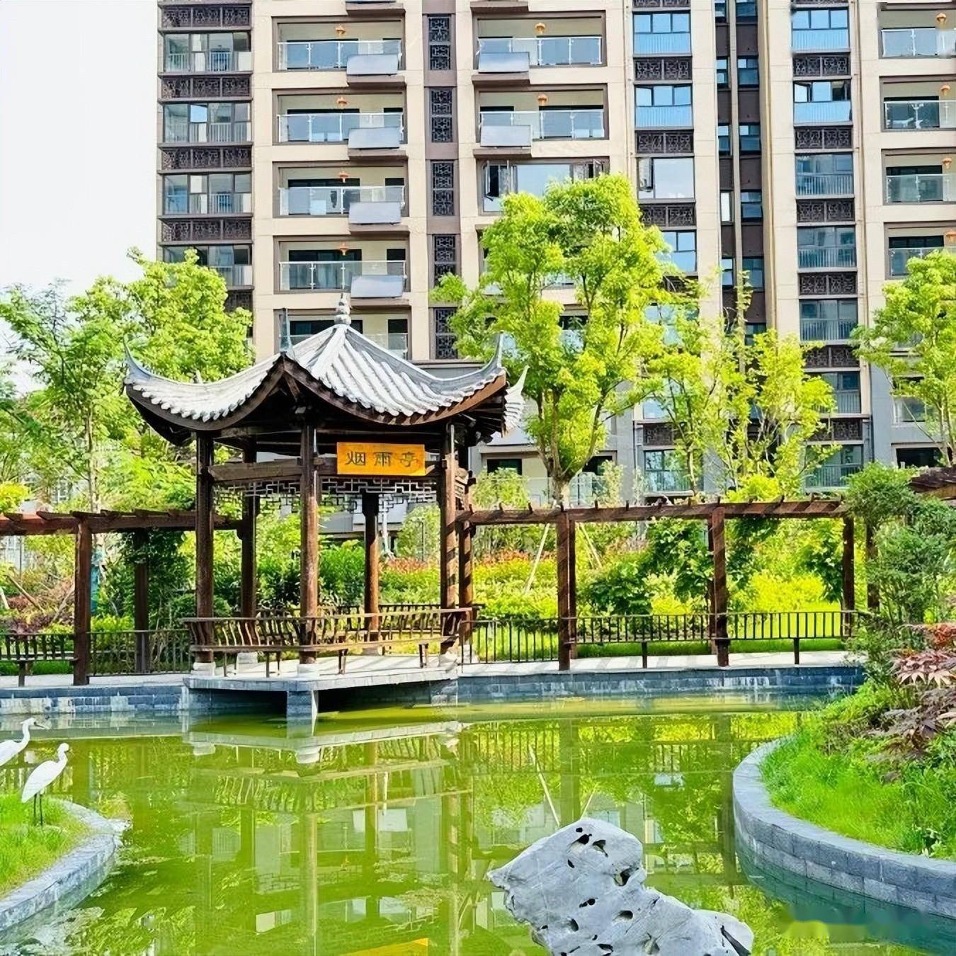 金鼎学府丨探寻初夏 园林焕新_发展_人居_项目