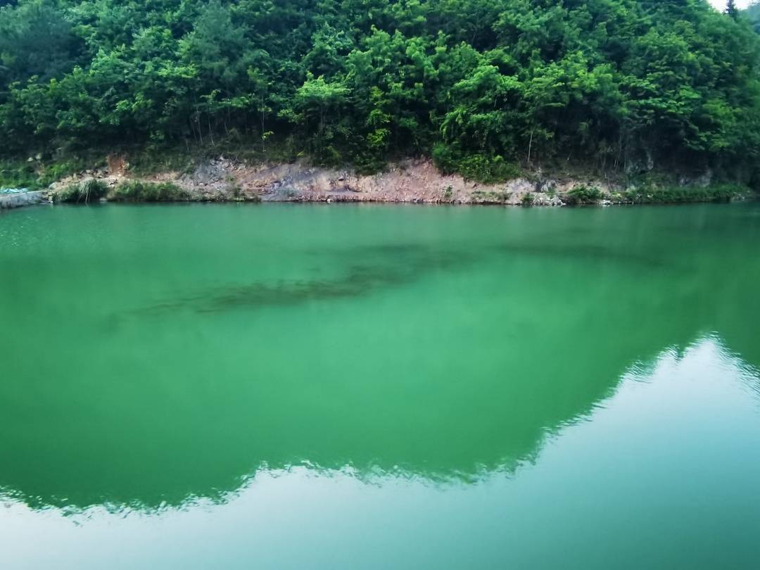 四川万源:修固军水库带来创业梦 男子返乡生态养鱼三年两毁痴心不改