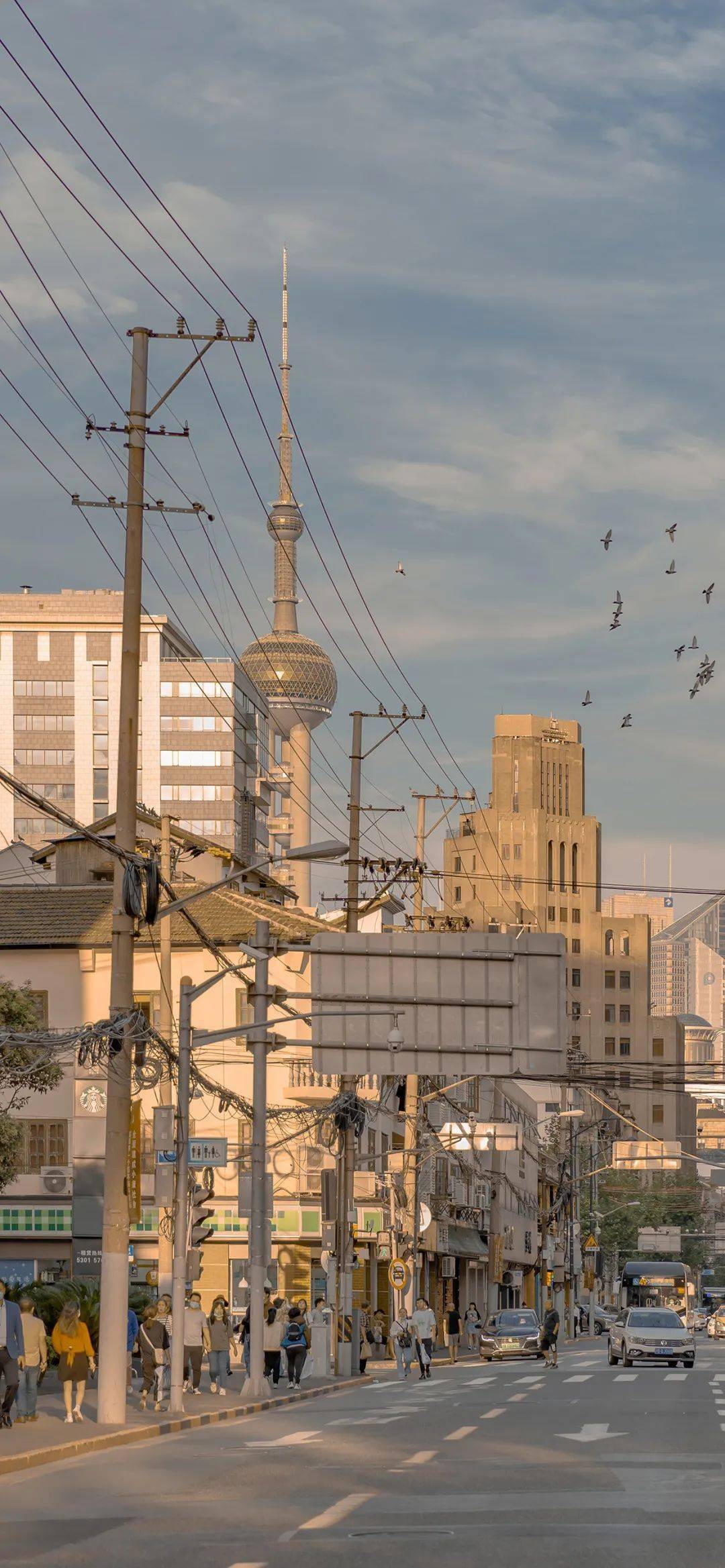 壁纸 | 3035383532·高级感ins壁纸壁纸丨春风不解,即随吾