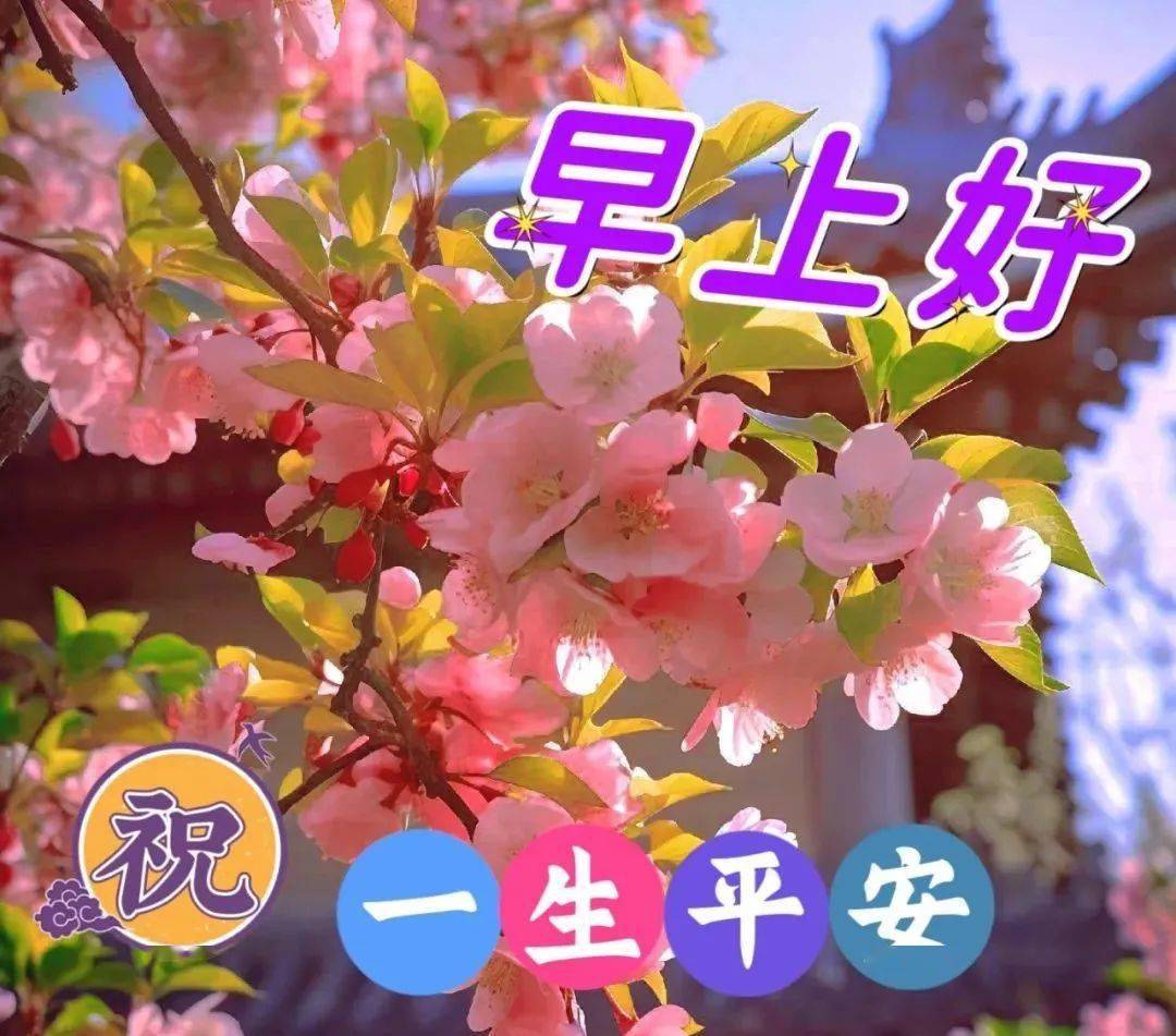 最新早上好问候祝福图片大全,温馨的祝愿_人生_吉祥_愿君