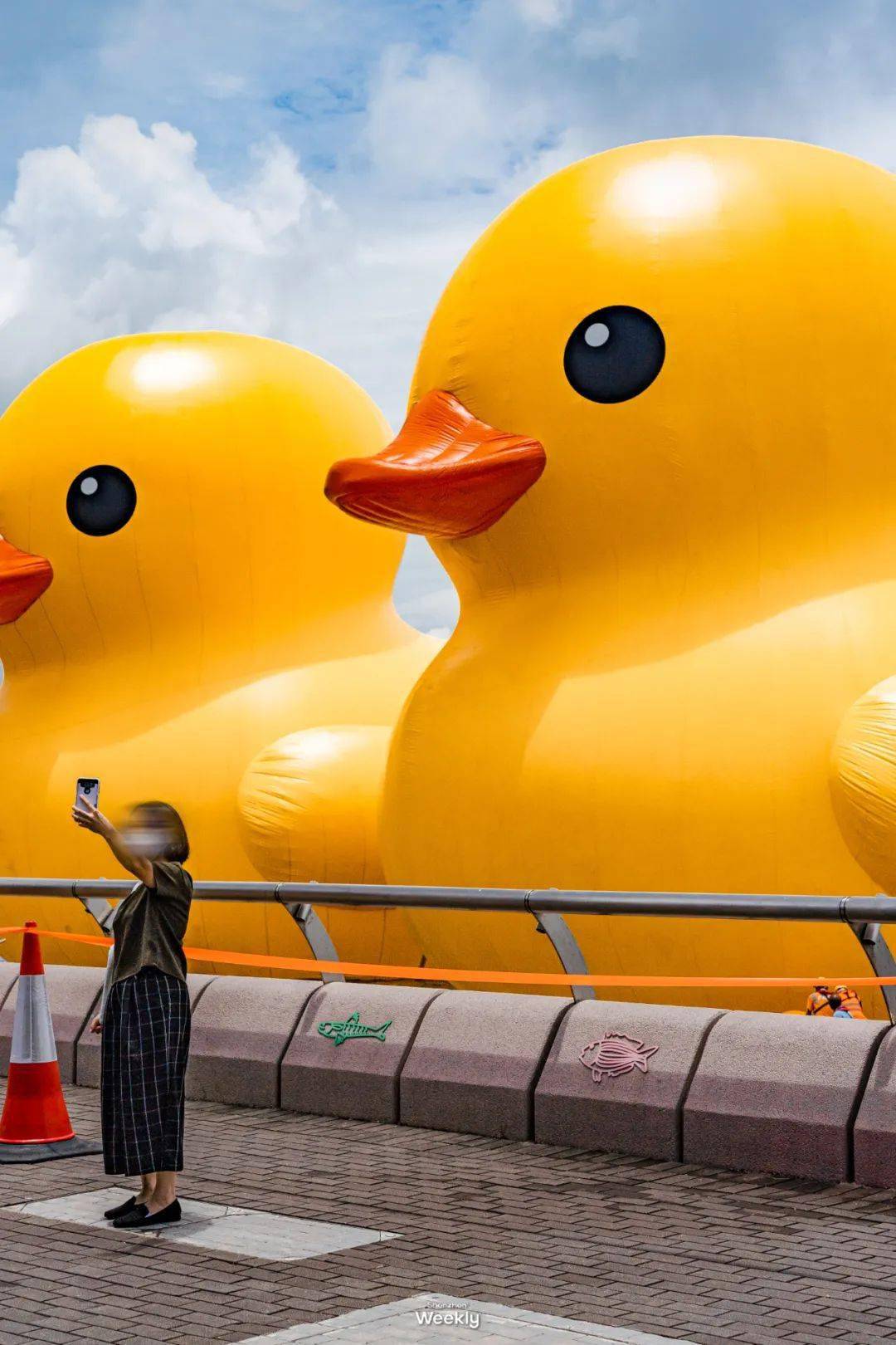 double ducks 阵容齐齐亮相