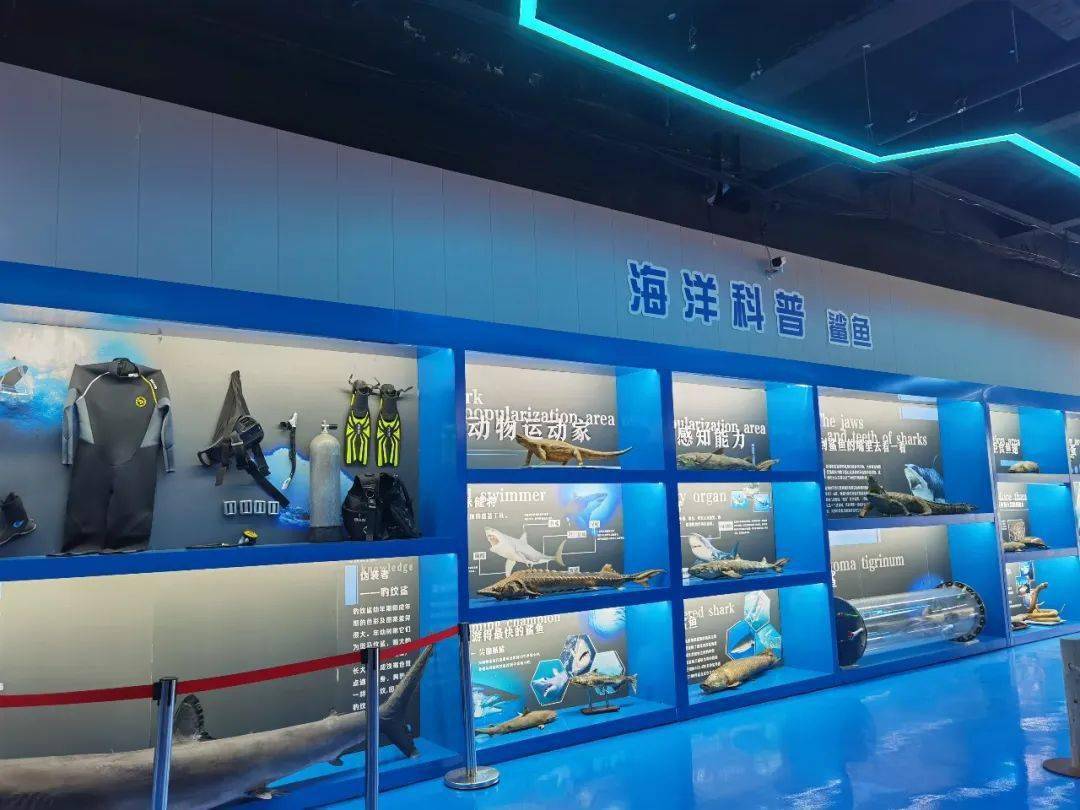 六月狂欢季,南通海底世界限时福利等你抢!_表演_活动_时间