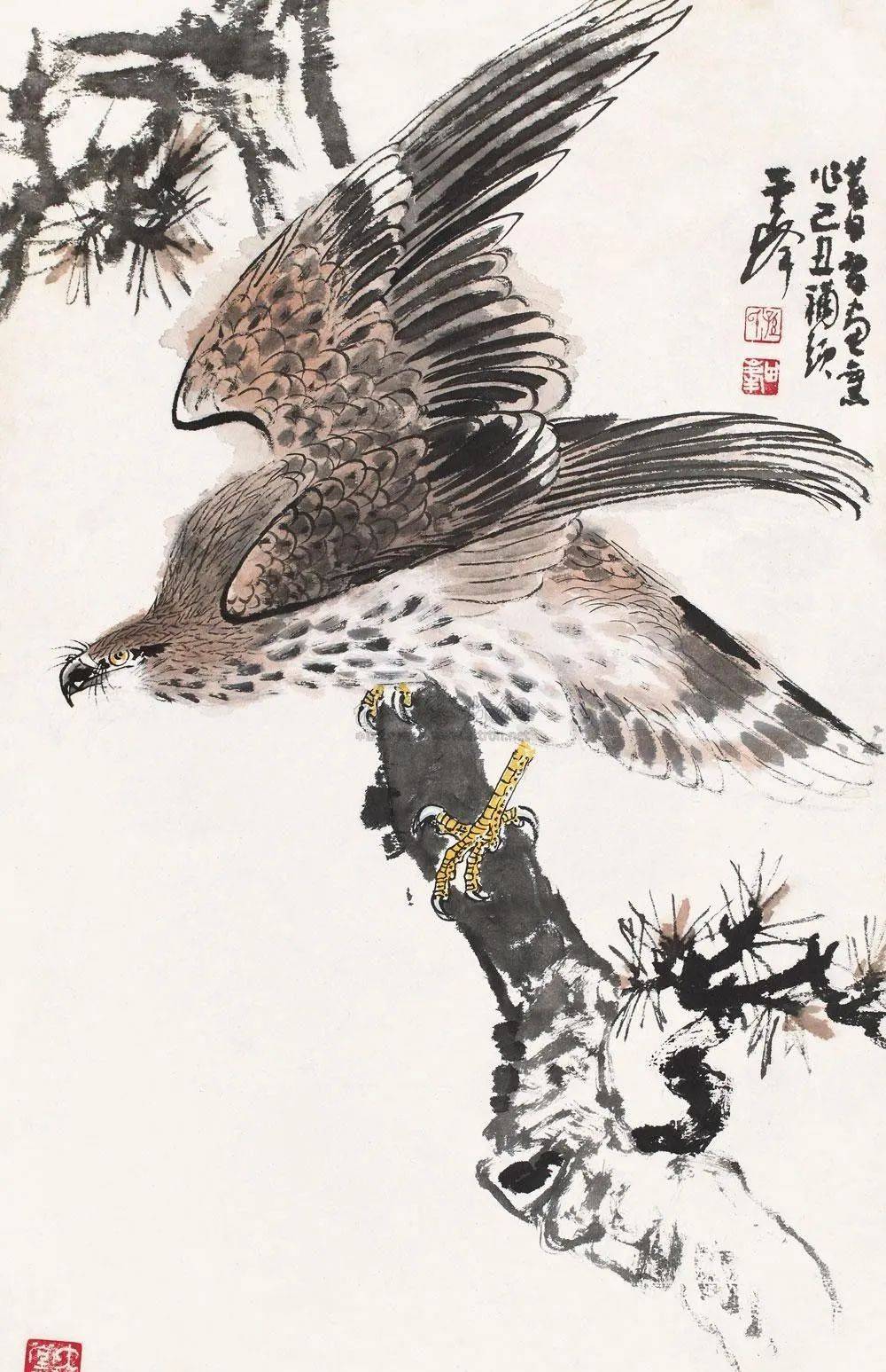 王学仲:孙其峰画鹰_白鹰_人民_精神