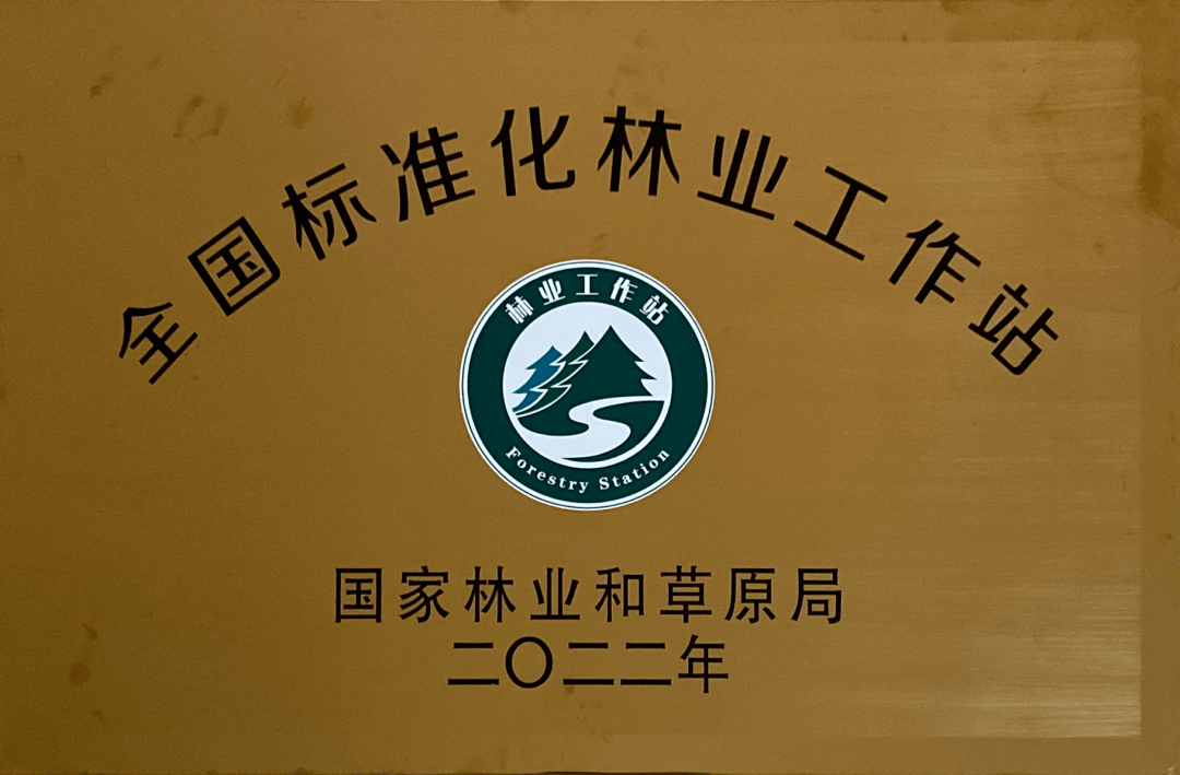 省林业科技推广站调研组到西和县开展乡镇林业工作站专题调研工作