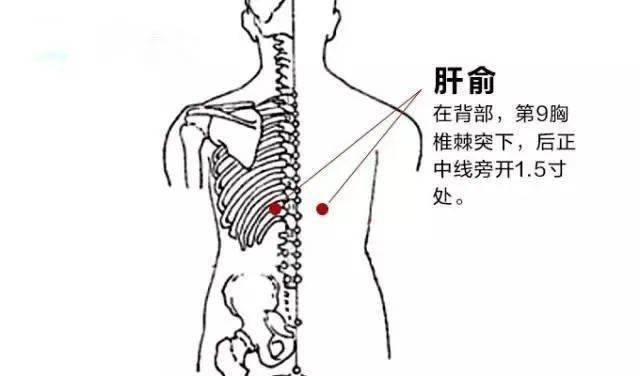刮痧排毒,对女性有这些好处!