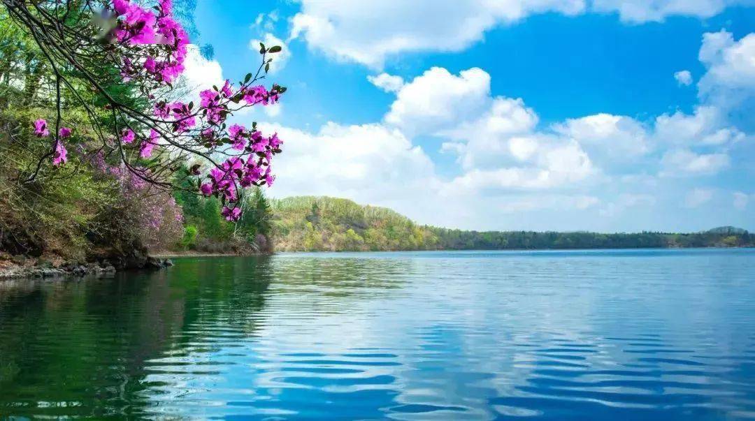 滚珠落玉似茶壶悬于林间吊水壶瀑布奔放而热情吊水壶9月1日此项福利