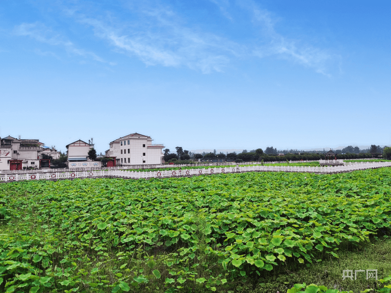 陕西城固:产城融合 增强乡村发展活力_莲花池村_数字_建设