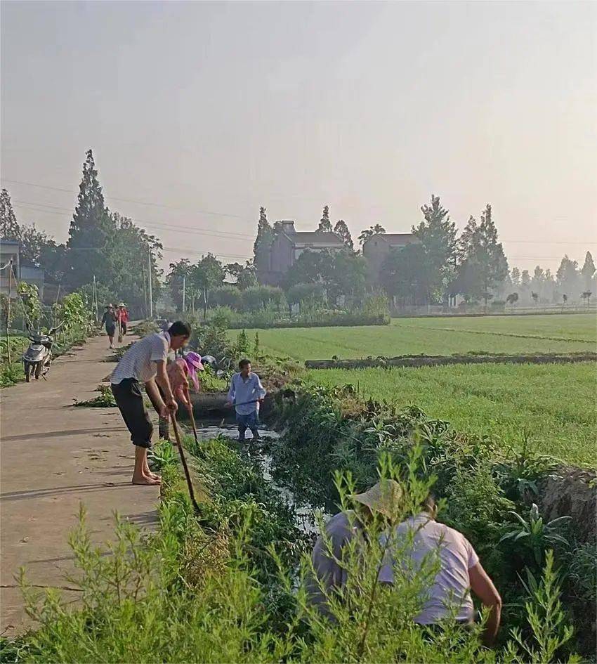 【下基层 察民情 解民忧 暖民心】下辛店镇:日出东方即行,群众所思即