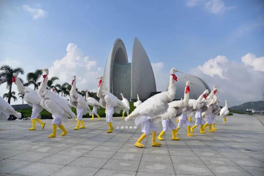 三灶鹤舞三灶剪纸目前,金湾区有非物质文化遗产代表性项目16项,其中1