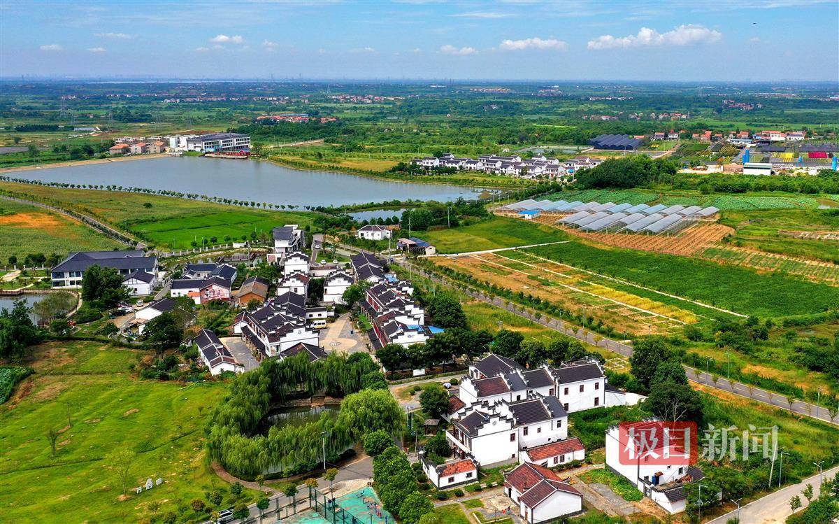 新洲仓埠:保护传统村落,留住美丽乡愁_夏声_仓埠街道_王墩