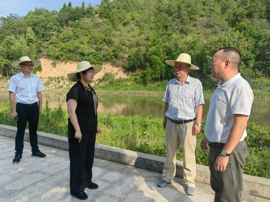 一线调研 强力推进各项整治工作_吕莉_扬尘_道路