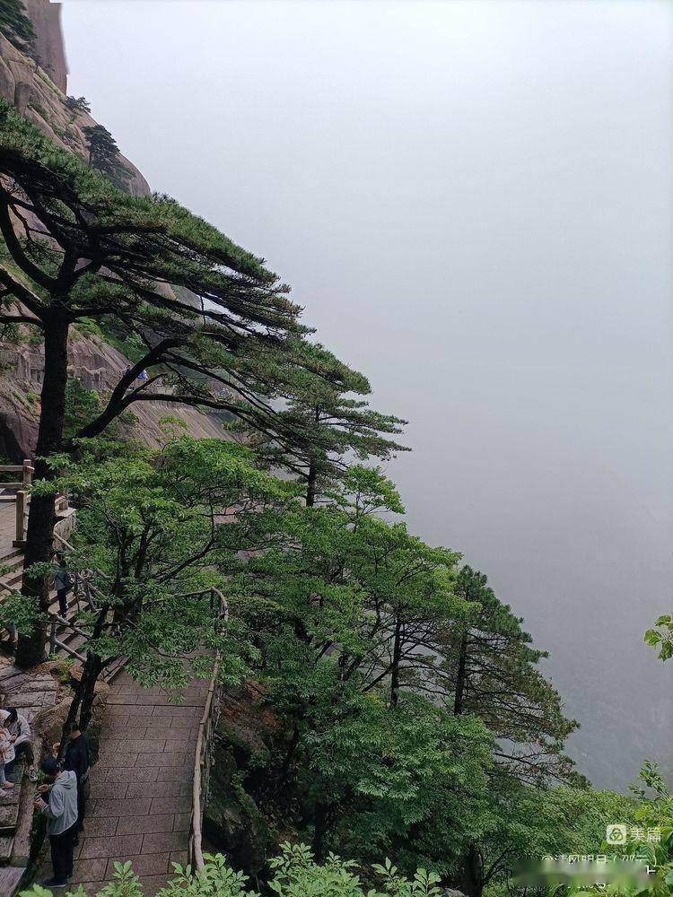 黃山之旅_雲海_玉屏_迎客松