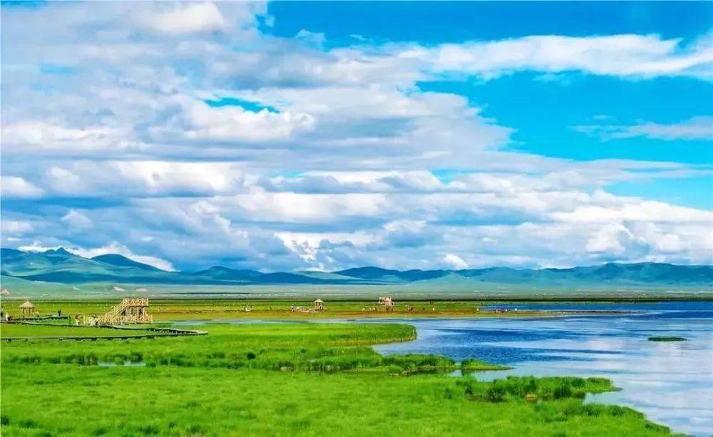 阿坝黄河大草原超美 随手一拍就是大片!_若尔盖_红原_旅行