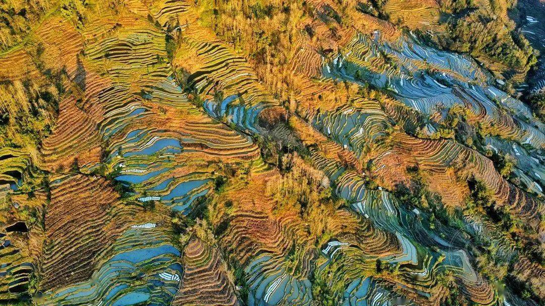 福建福州)2020年1月5日,拍摄于浙江绍兴市越城区蕺山街道八字桥老街区