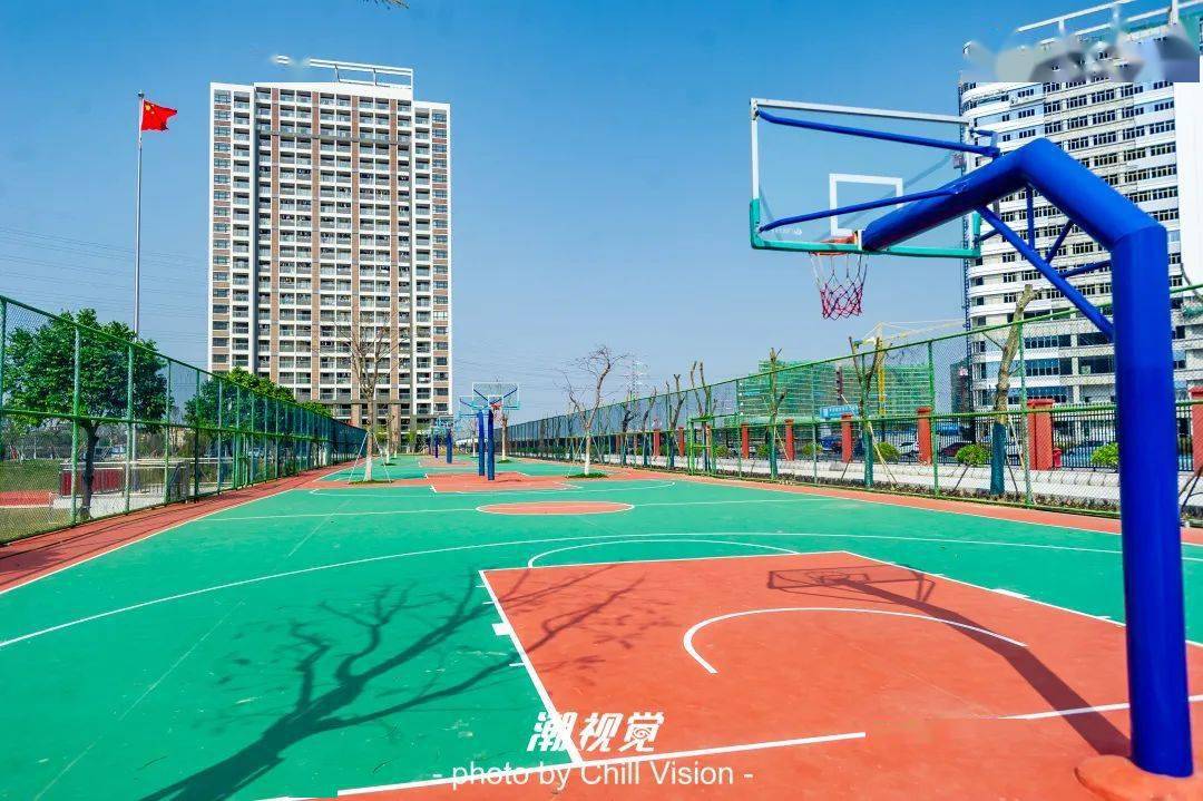 云东海这所学校多个学科招聘教师_相关_佛山市_教育部