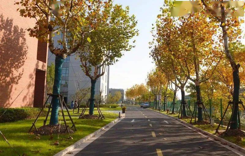探校| 培养国际化艺术人才通道——上海戏剧学院国际学院_课程_大学