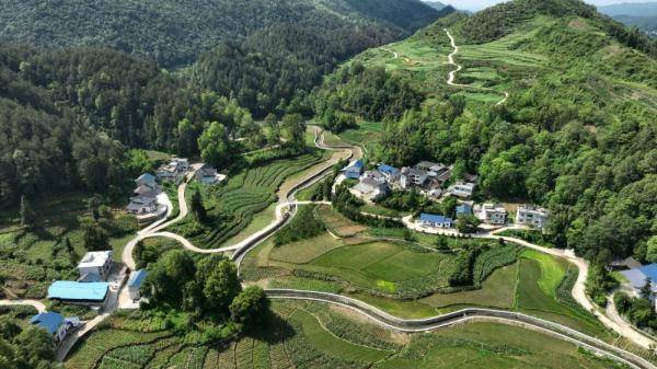 贵州省遵义市凤冈县琊川镇朝阳村75岁的村民胡光明继承父志守护白鹭40