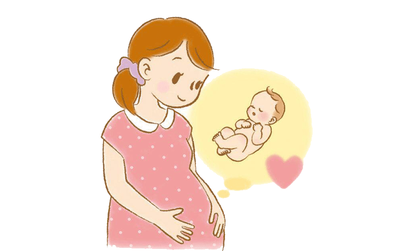 明天进直播间,一起聊聊“孕期那些事儿”→_南海_资讯_科学